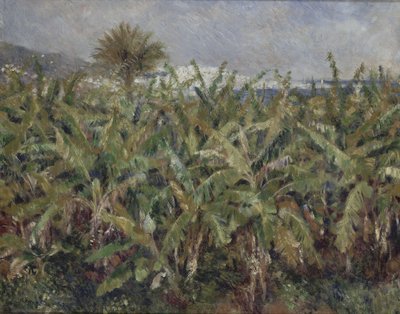 Campo di alberi di banane da Pierre Auguste Renoir